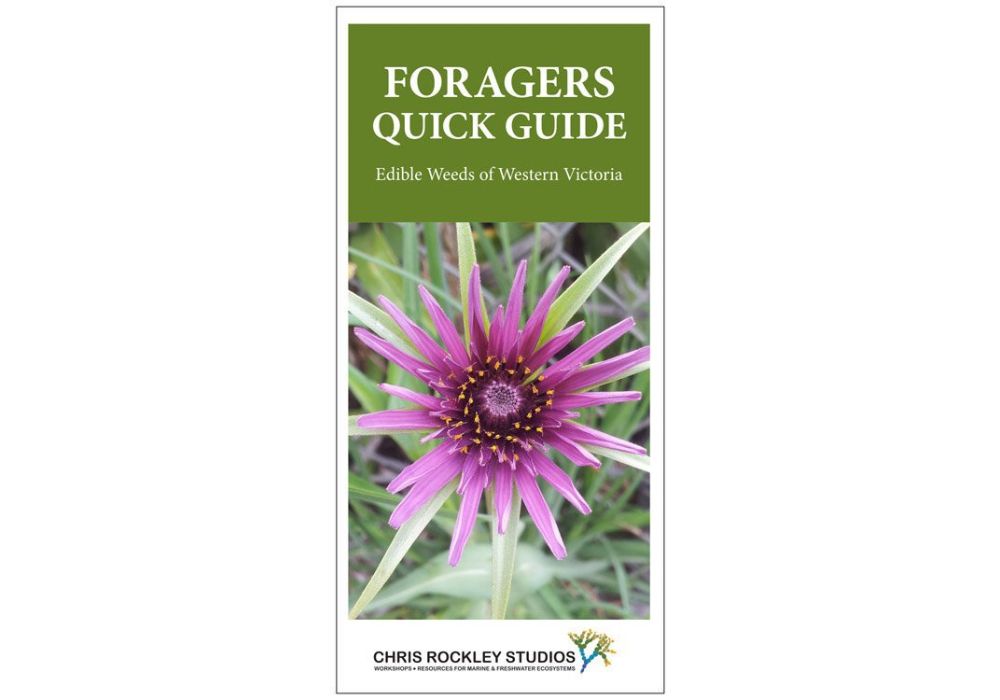 Foragers guide.jpg