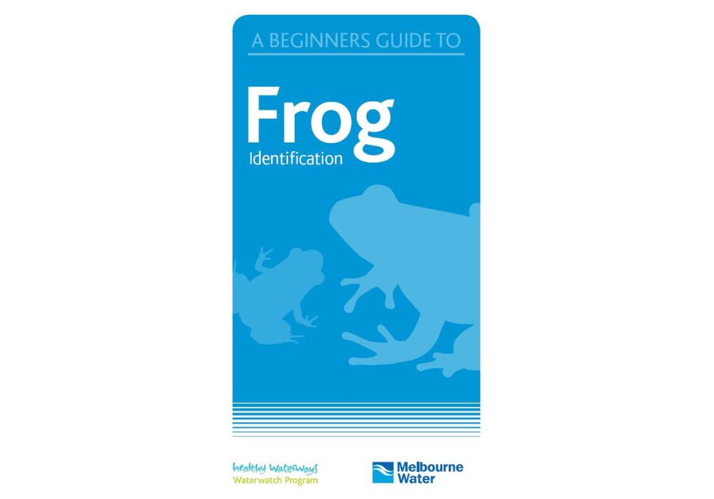 Frog ID.jpg