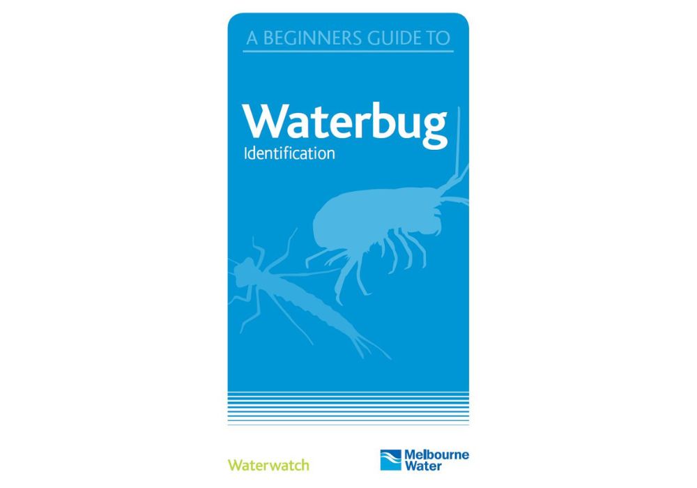 Waterbug guide.jpg