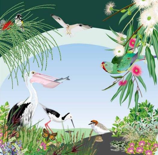 Biodiversity-strategy-cover.jpg