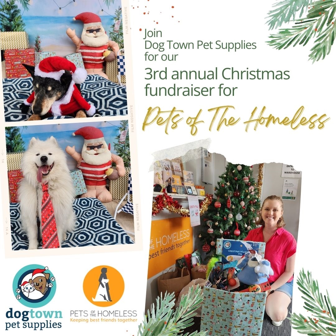 Pets-of-the-Homeless-Donation-Drive-Insta-Square-1